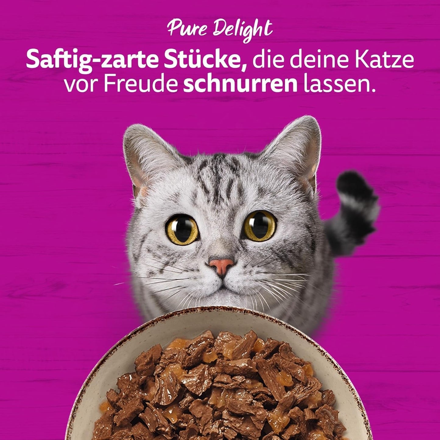 WHISKAS PURE DELIGHT Våtfoder i gelé 24 x 85g Classic Ragout (4 förpackningar) 48 portionspåsar