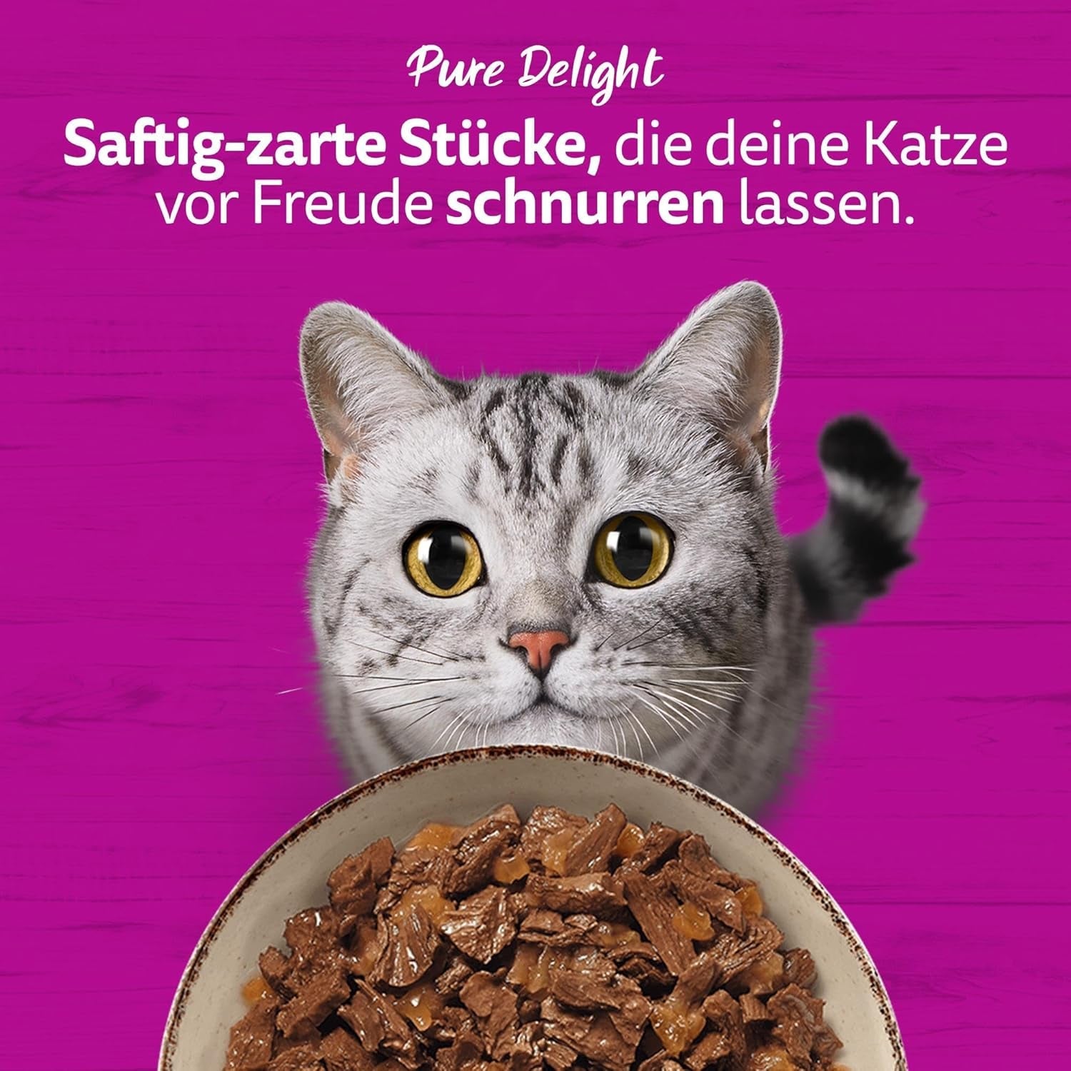 WHISKAS PURE DELIGHT Våtfoder i gelé 24 x 85g Classic Ragout (4 förpackningar) 48 portionspåsar