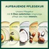 Garnier Nutrisse Permanent Care Hårfärg med närande fruktoljor, 8 veckors uppehåll, Ultra Crème Tint, 036 Black Cherry (Pack med 2) Naty Shop Hårfärg