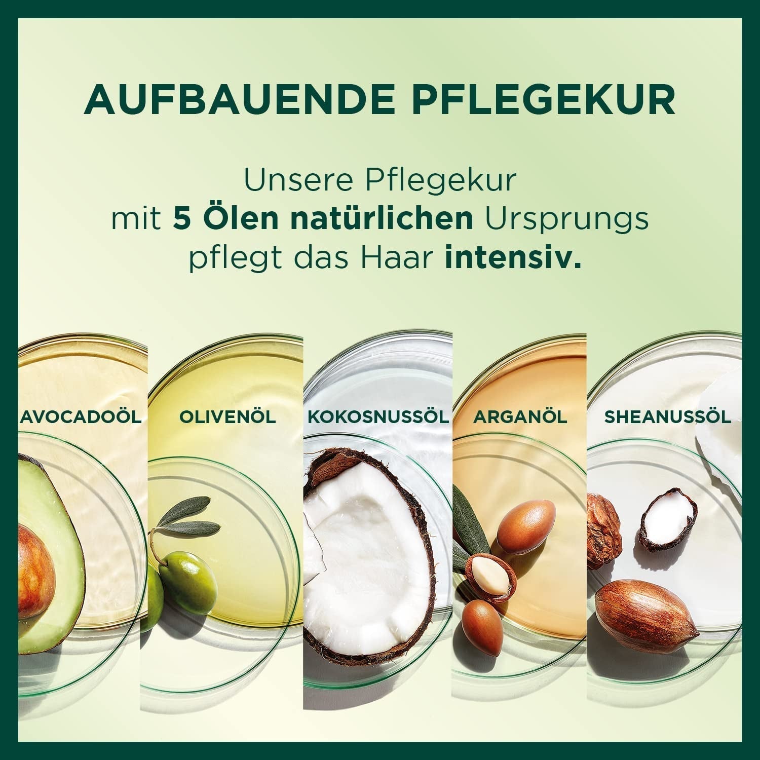Garnier Nutrisse Permanent Care Hårfärg med närande fruktoljor, 8 veckors uppehåll, Ultra Crème Tint, 036 Black Cherry (Pack med 2) Naty Shop Hårfärg