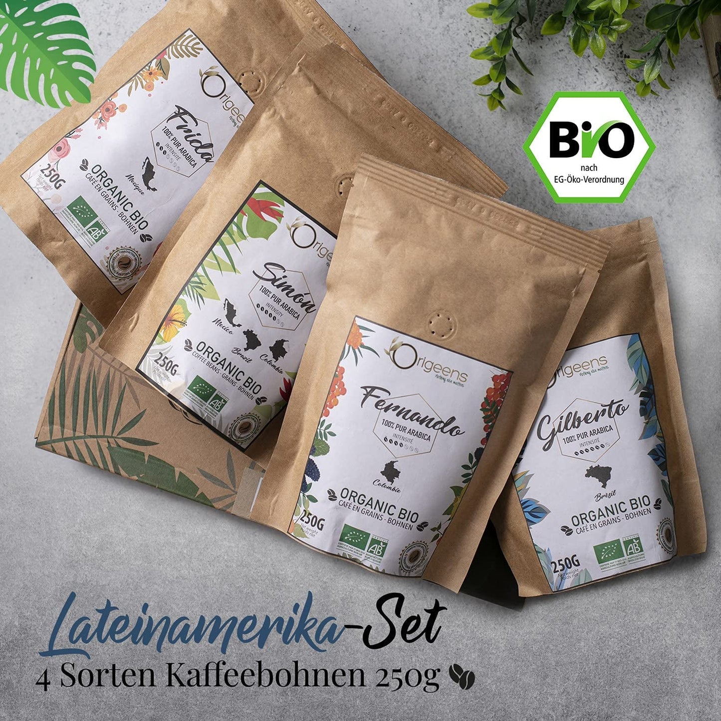 ORIGEENS Bio Kaffeebohnen Probierset 1kg | Premium Bio Arabica Kaffee Ganze Bohnen Set 4x250g | Traditionell Röstung | Kaffe Geschenkset