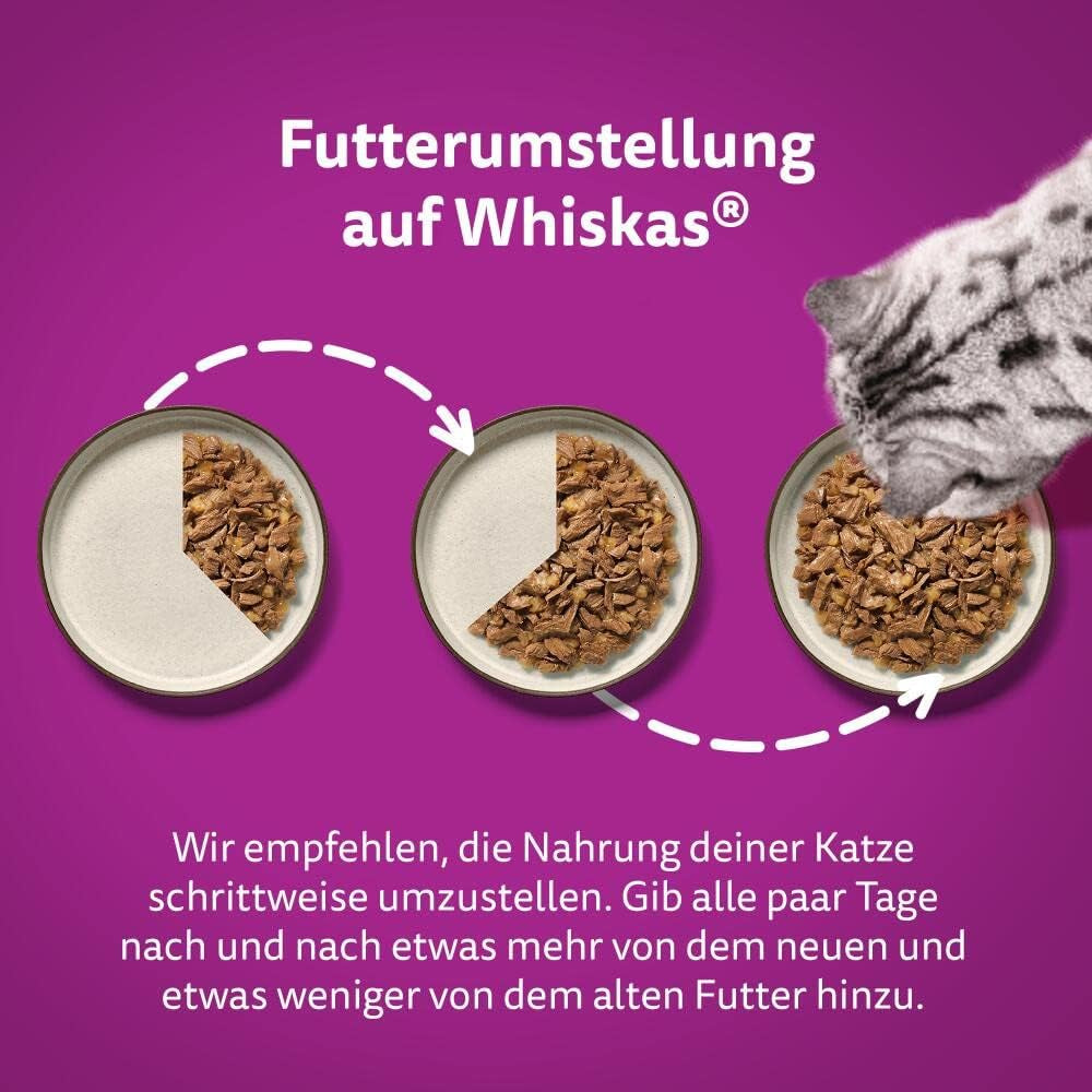 Whiskas 1+ våtfoder för katter med kyckling i gelé, 28x85g (1 förpackning) - Högkvalitativt våtfoder för vuxna katter i 28 portionspåsar