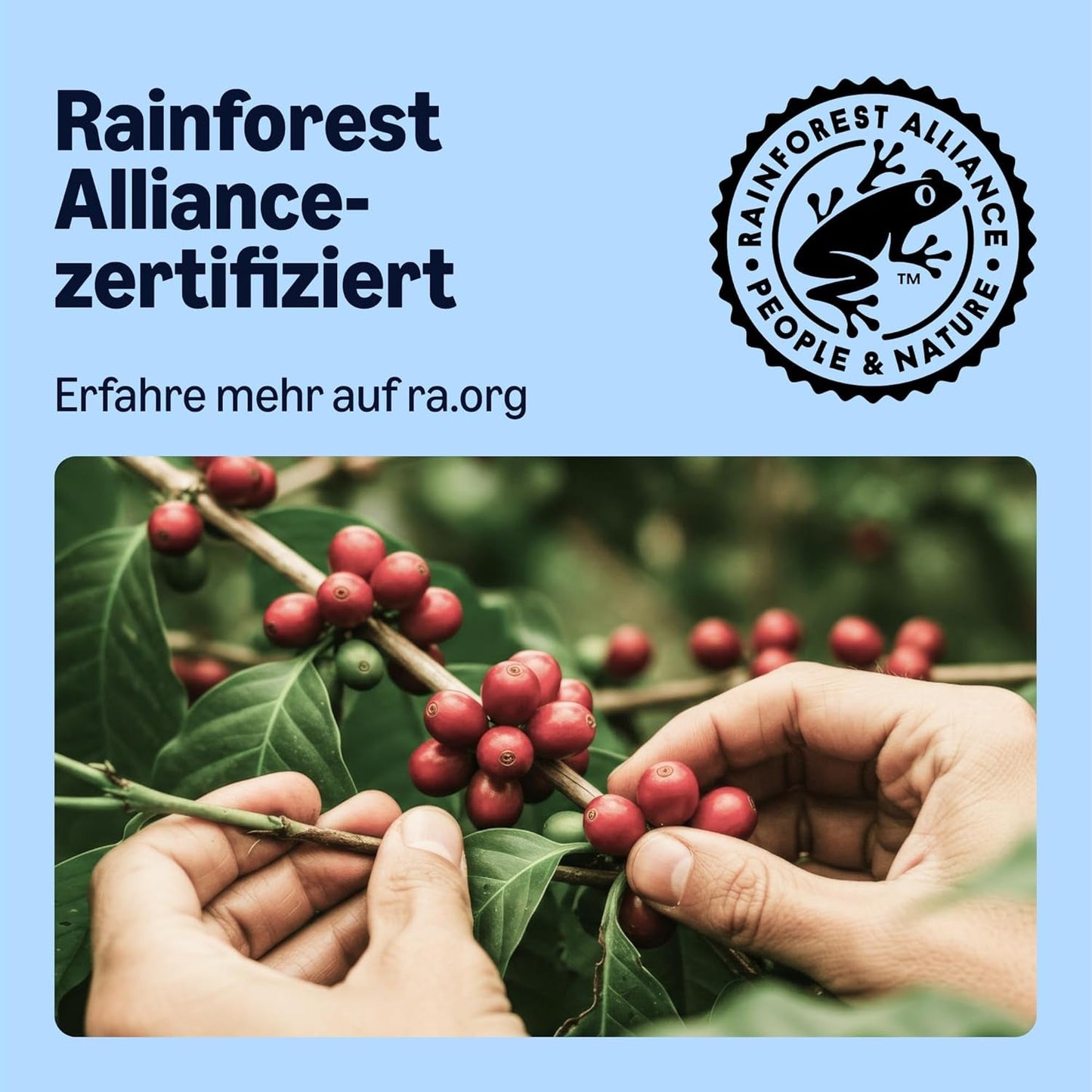 av Amazon Entkoffeinierte 100% Arabica-Kaffeepads, geeignet für Senseo-Maschinen, medium Röstung, 36 Stück (1 Packung mit 36 ​​​​Stück) – Rainforest Alliance-zertifiziert
