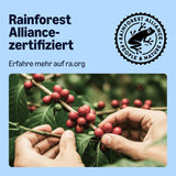 av Amazon Entkoffeinierte 100% Arabica-Kaffeepads, geeignet für Senseo-Maschinen, medium Röstung, 36 Stück (1 Packung mit 36 ​​​​Stück) – Rainforest Alliance-zertifiziert