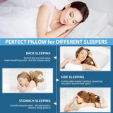 Findigit Health Kudde, Memory Foam Kudde, Ortopedisk nackstödskudde för sido- och ryggslipare, Ergonomisk Cervical Spine Kudde (60 X 35 X 11/9cm) Cervikal Ortopediska Kuddar Naty Shop