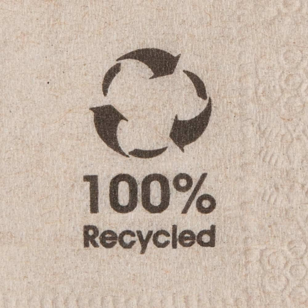 Ekologiska miljövänliga servetter gjorda av återvunnet papper I Högkvalitativa pappersservetter 10 X 10 cm I 100 stycken Cocktailservetter Oblekt biologiskt nedbrytbart komposterbart