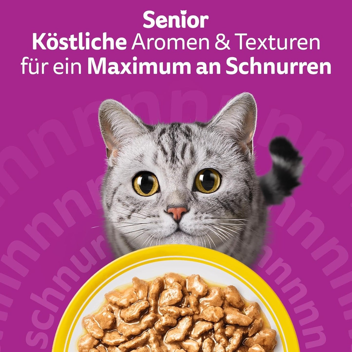 Whiskas 7+ våtfoder för katter Urval av fjäderfä i sås 24 x 85 g (2 förpackningar) - Högkvalitativt våtfoder från 7 år i 48 portionspåsar