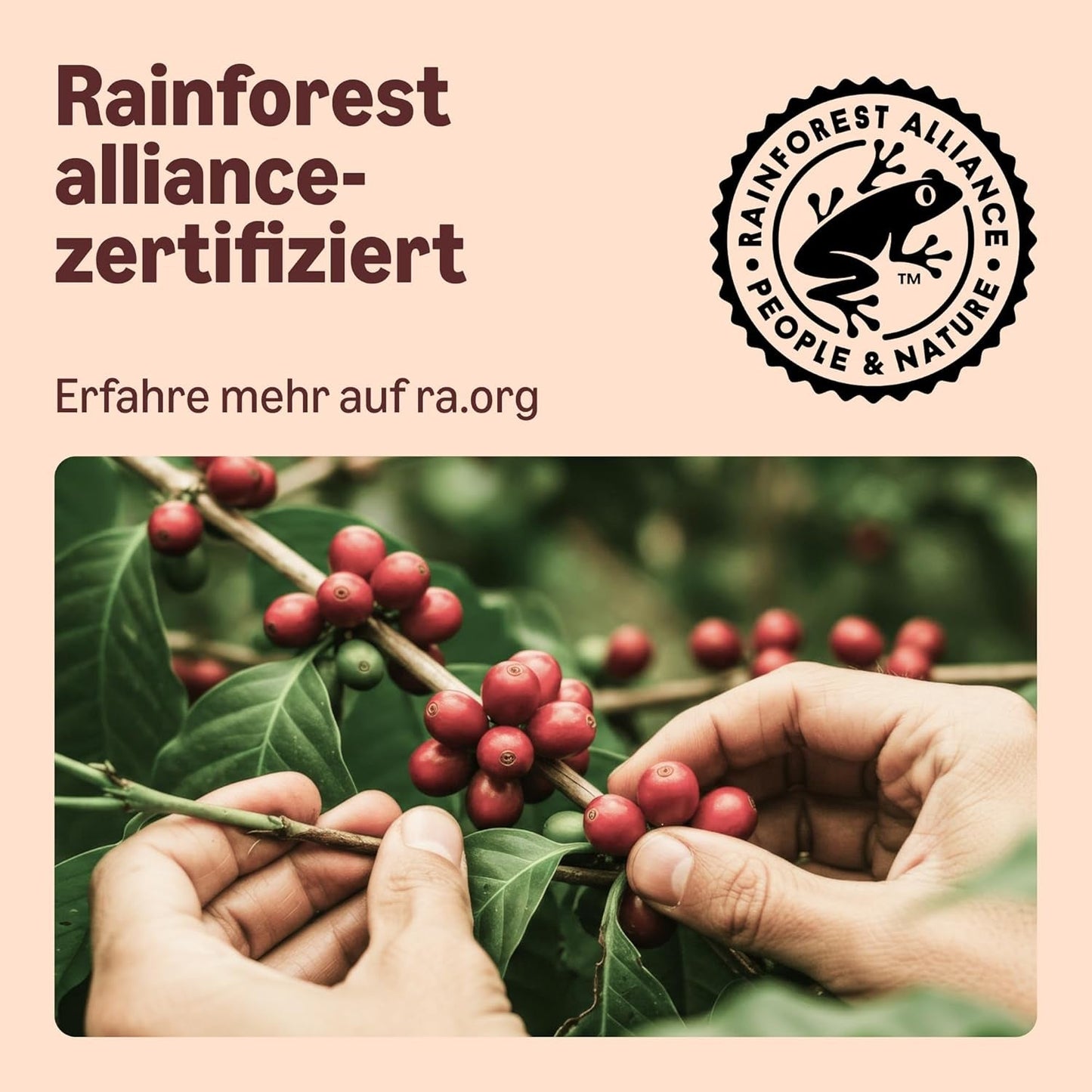 By Amazon Heimkompostierbare Kaffeekapseln, kompatibel med Nespresso, 100 % kolumbianischer Arabica, 20 Stück – Rainforest Alliance-zertifiziert