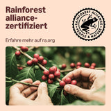 By Amazon Heimkompostierbare Kaffeekapseln, kompatibel med Nespresso, 100 % kolumbianischer Arabica, 20 Stück – Rainforest Alliance-zertifiziert