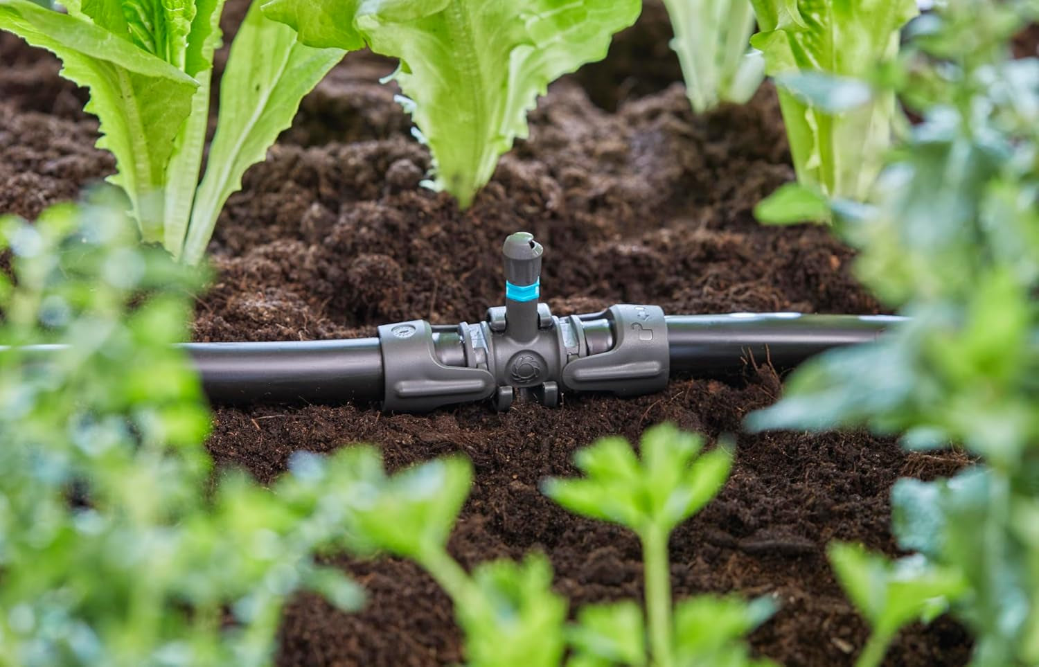 Gardena Micro-Drip-System T-stycke för sprutmunstycken: Anslutning mellan 13 mm rör och ett sprutmunstycke, automatisk växtbevattning, snabb och enkel anslutningsteknik, återanvändbar (13206-20)