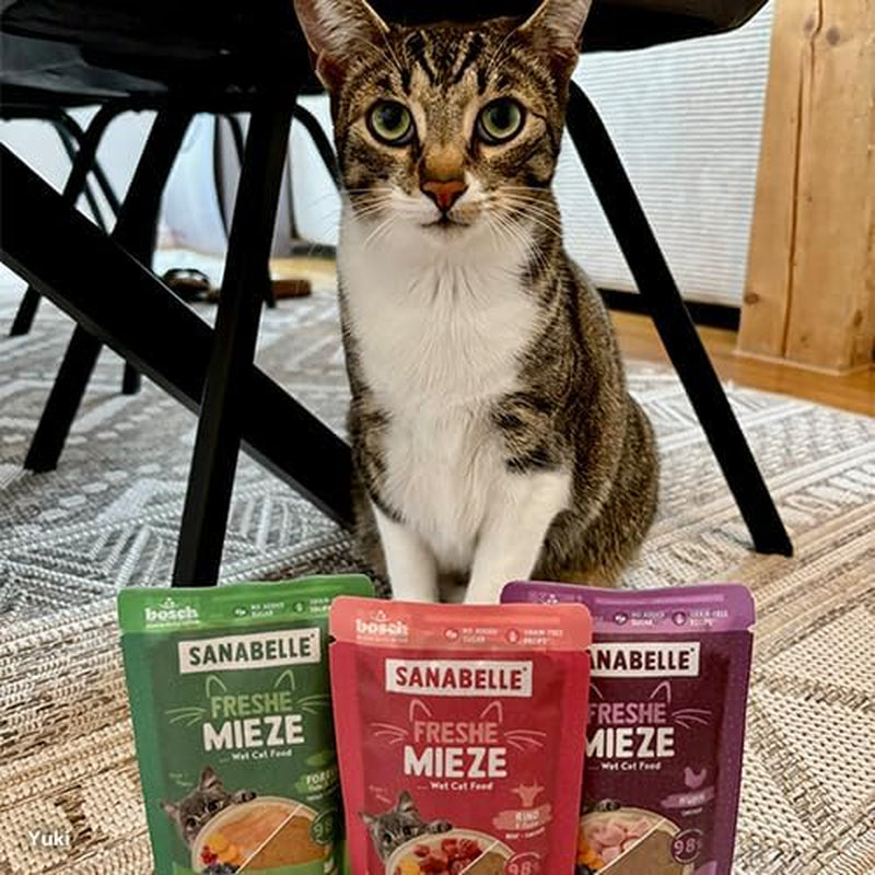 Sanabelle Freshe Mieze - Mixtray | 10 x 100g Mixpack | 4 läckra sorter av kattmat att prova | Ångad våt kattmat, precis som nykokt
