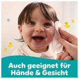 Pampers Fresh Clean våtservetter, 15 förpackningar med 80 våtservetter, 1200 våtservetter totalt, lätt doft, även lämplig för händer och ansikte