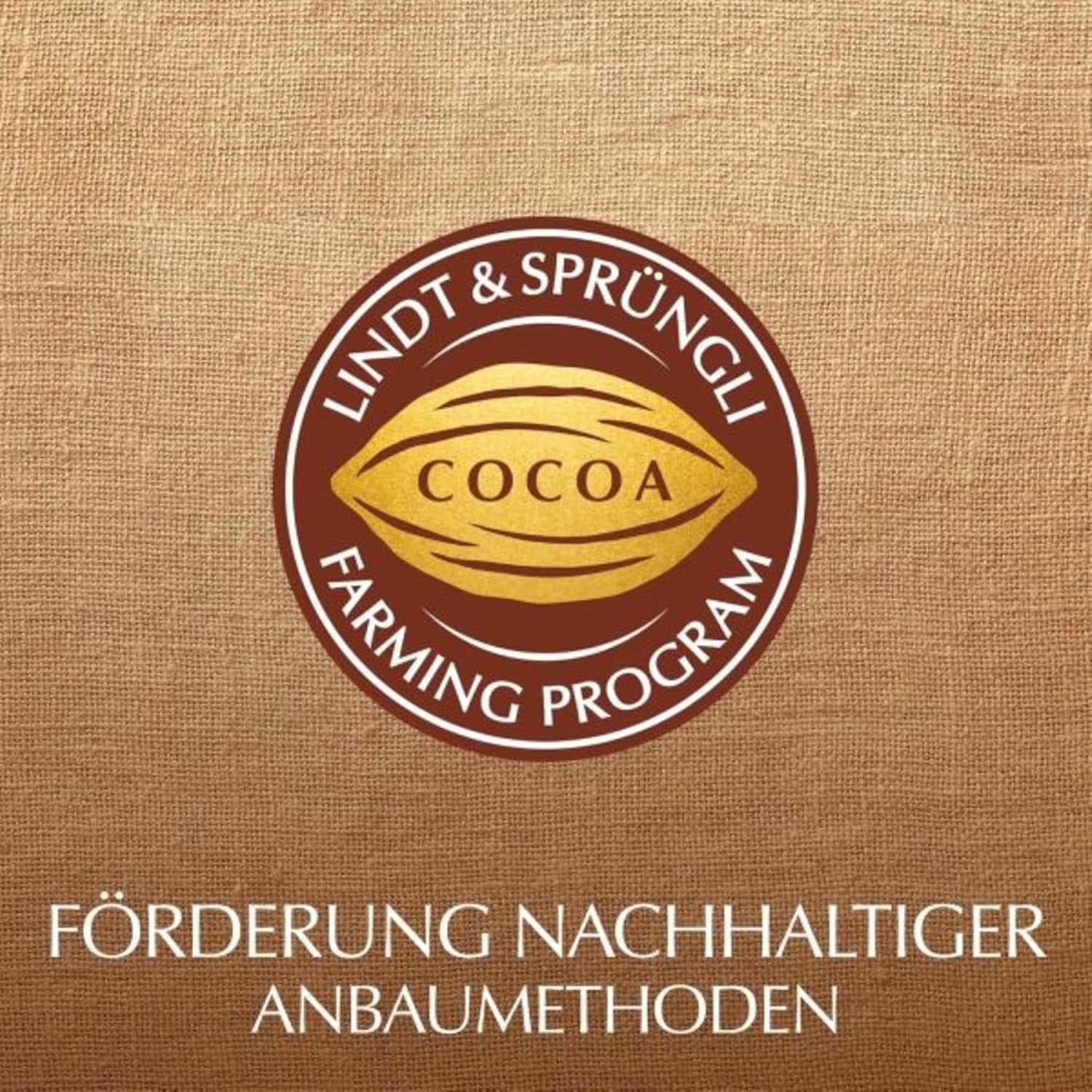 Lindt Choklad från hjärtat | 30 g | 6 praliner i Marc de Champagne, Coeur à l'Orange, Crispy Milk Chocolate, Apelsinmarsipan i en vacker hjärtformad ask | Gåva av choklad | Choklad present