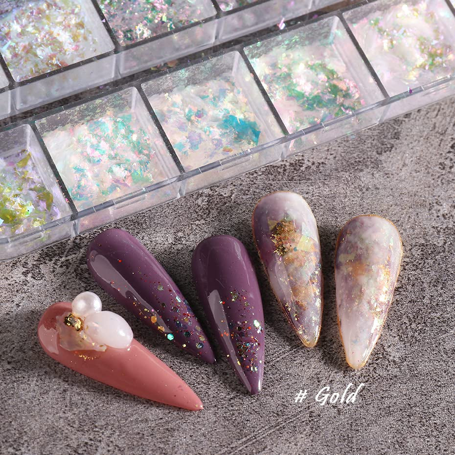 JMEOWIO Nagelglitter 12 rutnät Aurora Nail Art dekoration tillbehör nageldesign