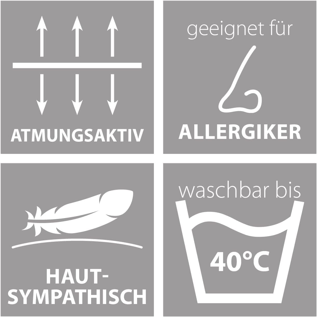 Traumnacht Green Basic Kuddset bestående av två kuddar 80 X 80 Cm, Oeko-Tex certifierade, tillverkade enligt tysk kvalitetsstandard Naty Shop standardkuddar