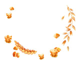 Dr. Oetker Vitalis Less Sweet Crunchy Pure: Crunchy müsli med 30 % mindre socker, 5-pack (5 x 600g)