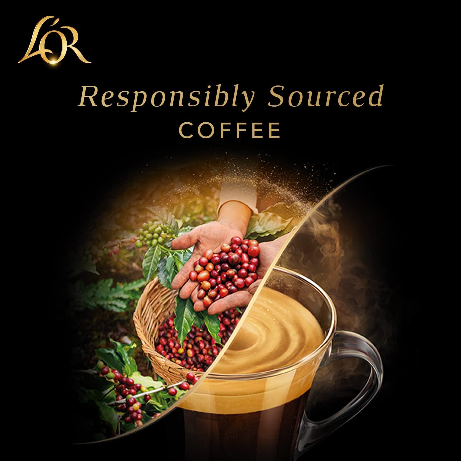 L'OR Barista Kaffeekapseln Ristretto, exklusivt för L'OR Barista Maschinen, 5er Pack, 5 x 10 Kapseln