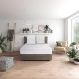 Traumnacht Green Basic Kuddset bestående av två kuddar 80 X 80 Cm, Oeko-Tex certifierade, tillverkade enligt tysk kvalitetsstandard Naty Shop standardkuddar 80 X 80 Cm