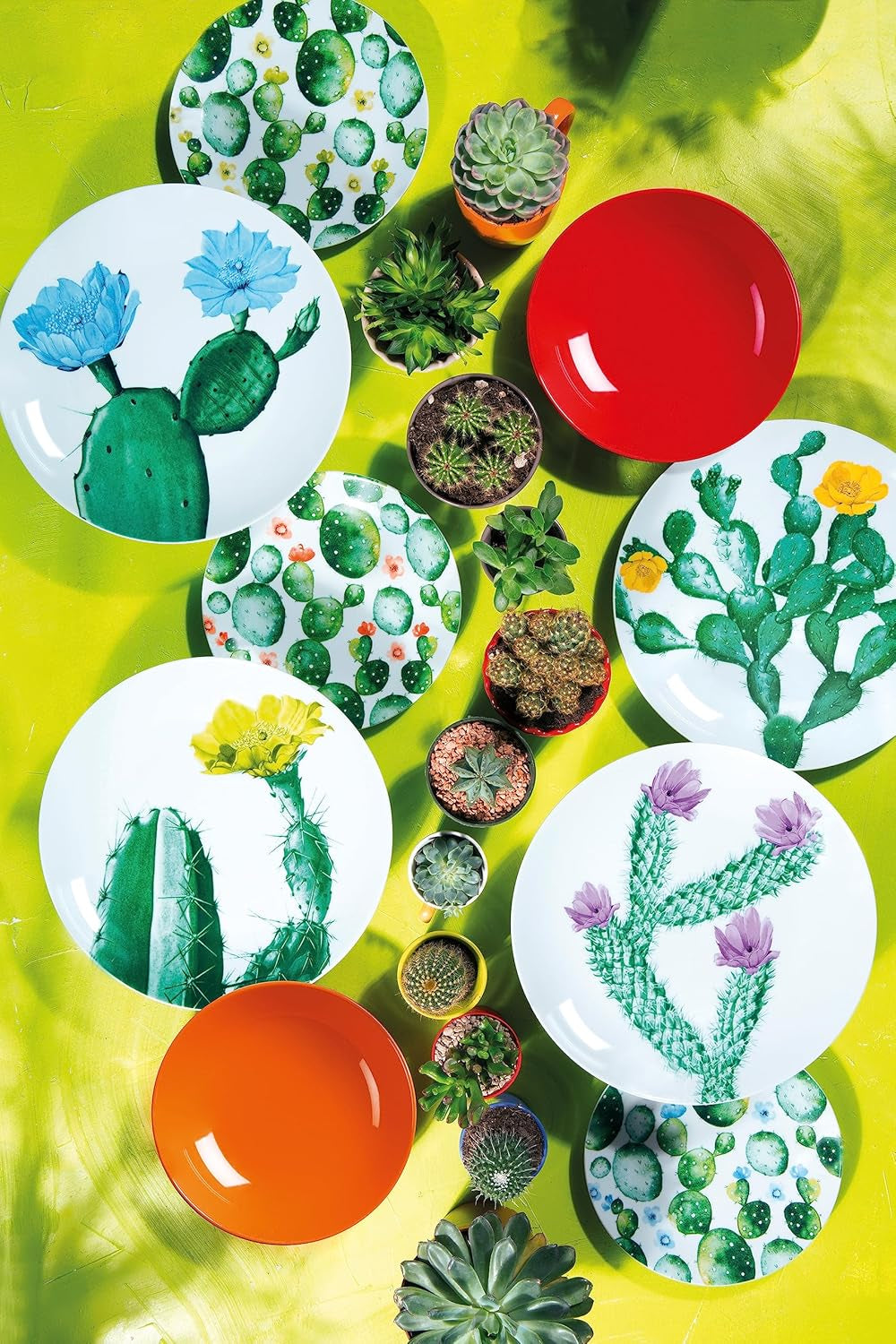 Excelsa Color Cactus servisset, 18 delar, flerfärgad