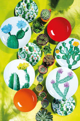 Excelsa Color Cactus servisset, 18 delar, flerfärgad