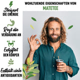 ORIGEENS BIO YERBA MATE TEA 1 KG - The Original I Orostad, blad, utan stjälkar, damm och smulor I Energigivande och avgiftande dryck