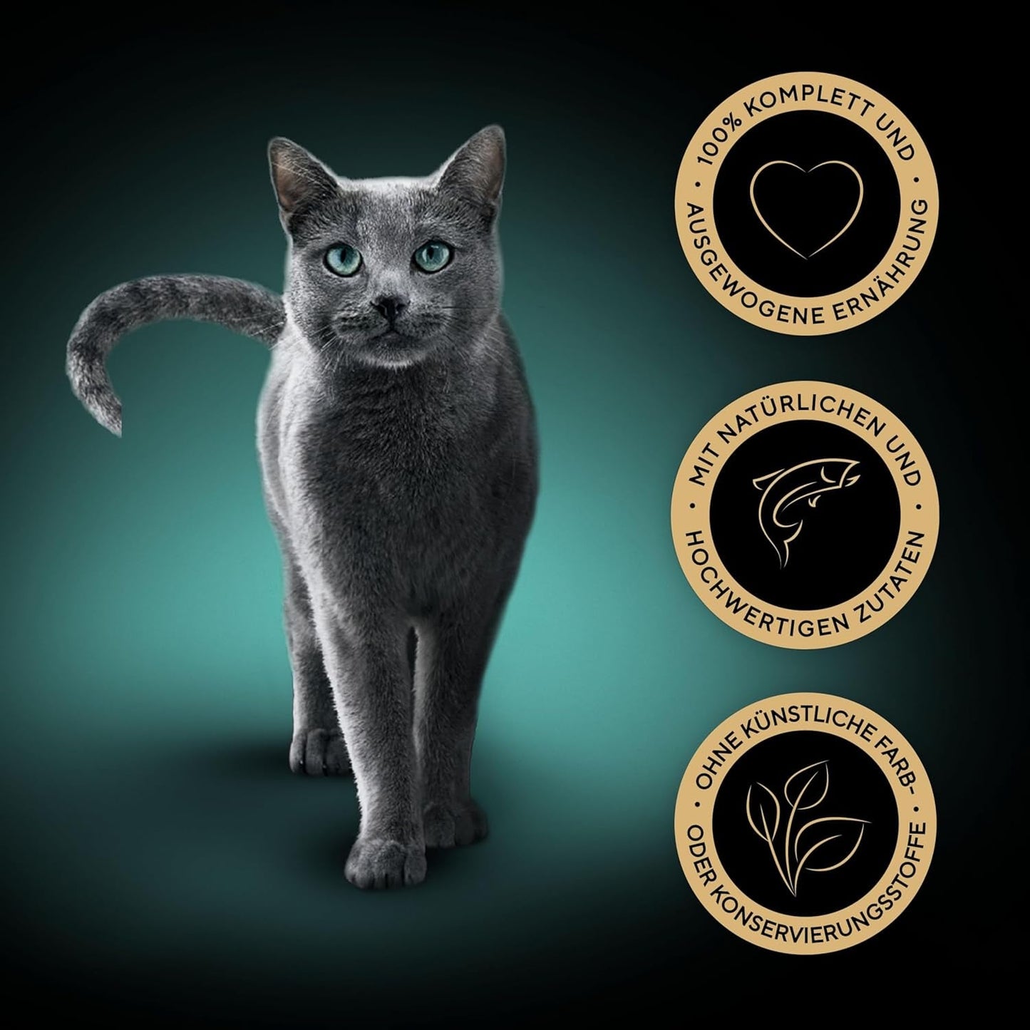 SHEBA Perfect PORTIONS paté för katter med lax, MSC-certifierad, 8 x 3 x (2 x 37,5g) = 225g (Förpackningen kommer att uppdateras)