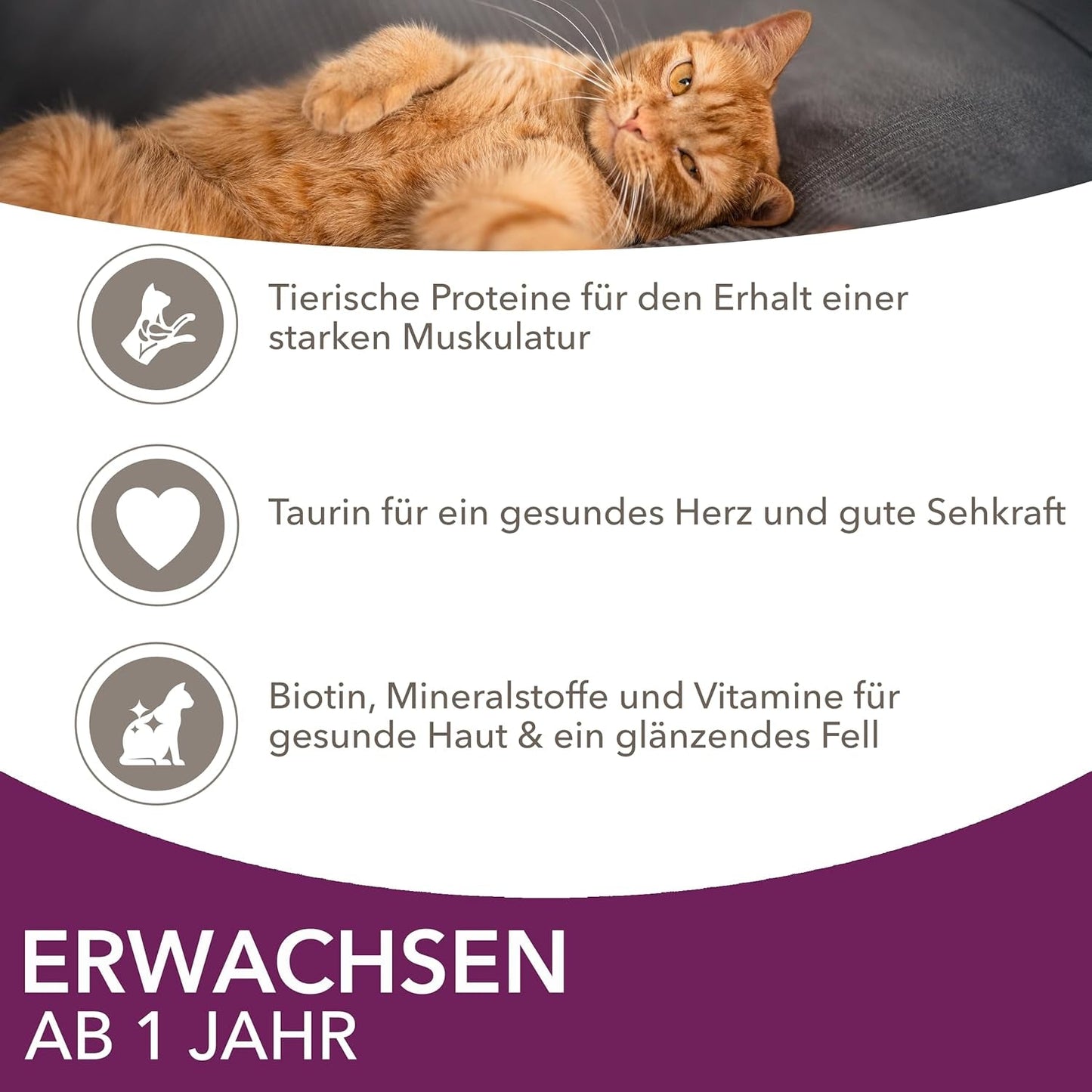 IAMS Delights Land & Sea Collection Wet Cat Food - Kött- och fisksortiment Multipack i sås, våtfoder för katter 1 år och äldre, 12 x 85g