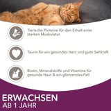 IAMS Delights Land & Sea Collection Wet Cat Food - Kött- och fisksortiment Multipack i sås, våtfoder för katter 1 år och äldre, 12 x 85g