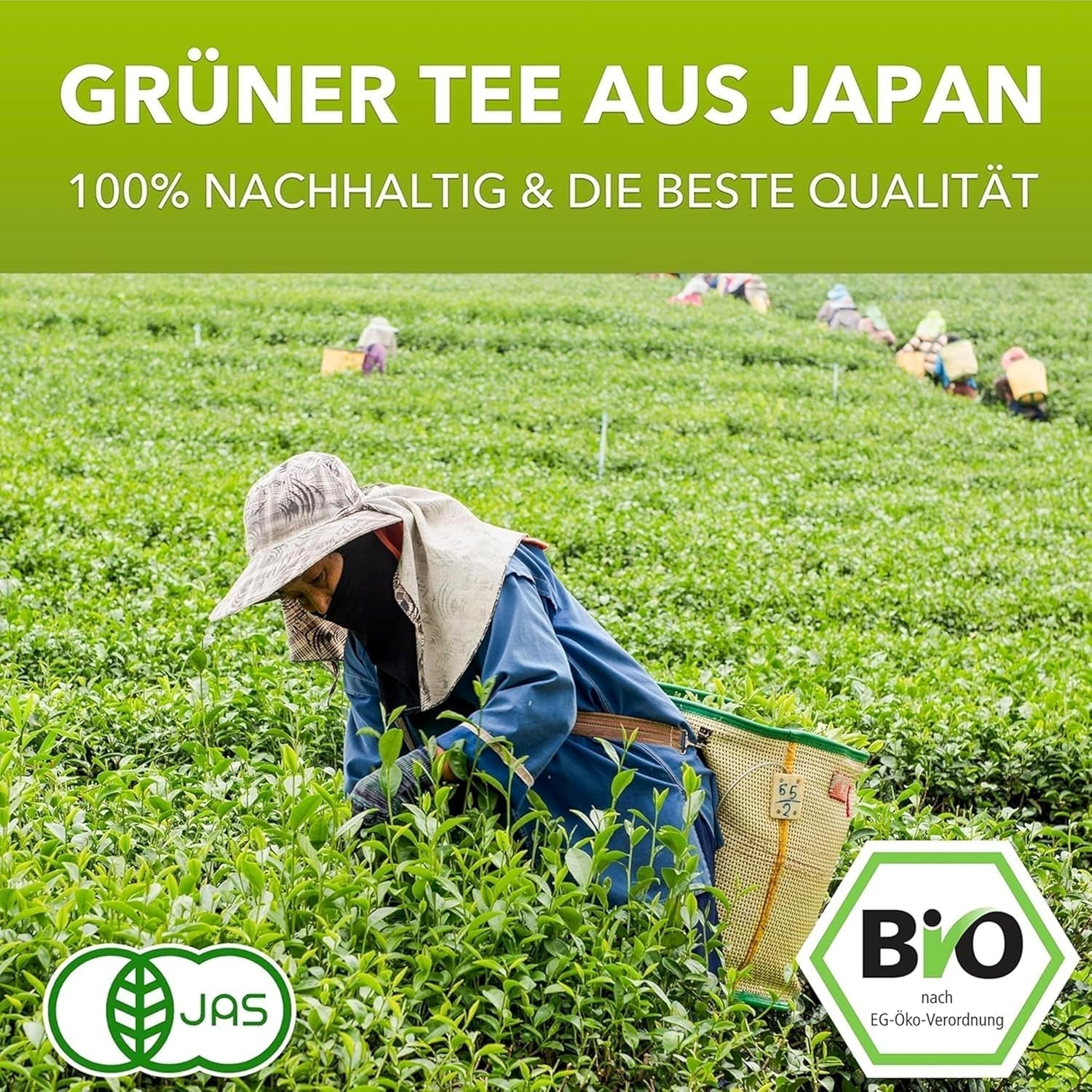 Matchamagic - Ekologiskt matcha lattepulver från Japan med kokosblomsocker för ett utsökt te
