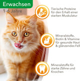 IAMS Delights våt kattmat med saftigt nötkött och gelémorötter - komplett våtfoder för vuxna katter, 24 påsar x 85 g