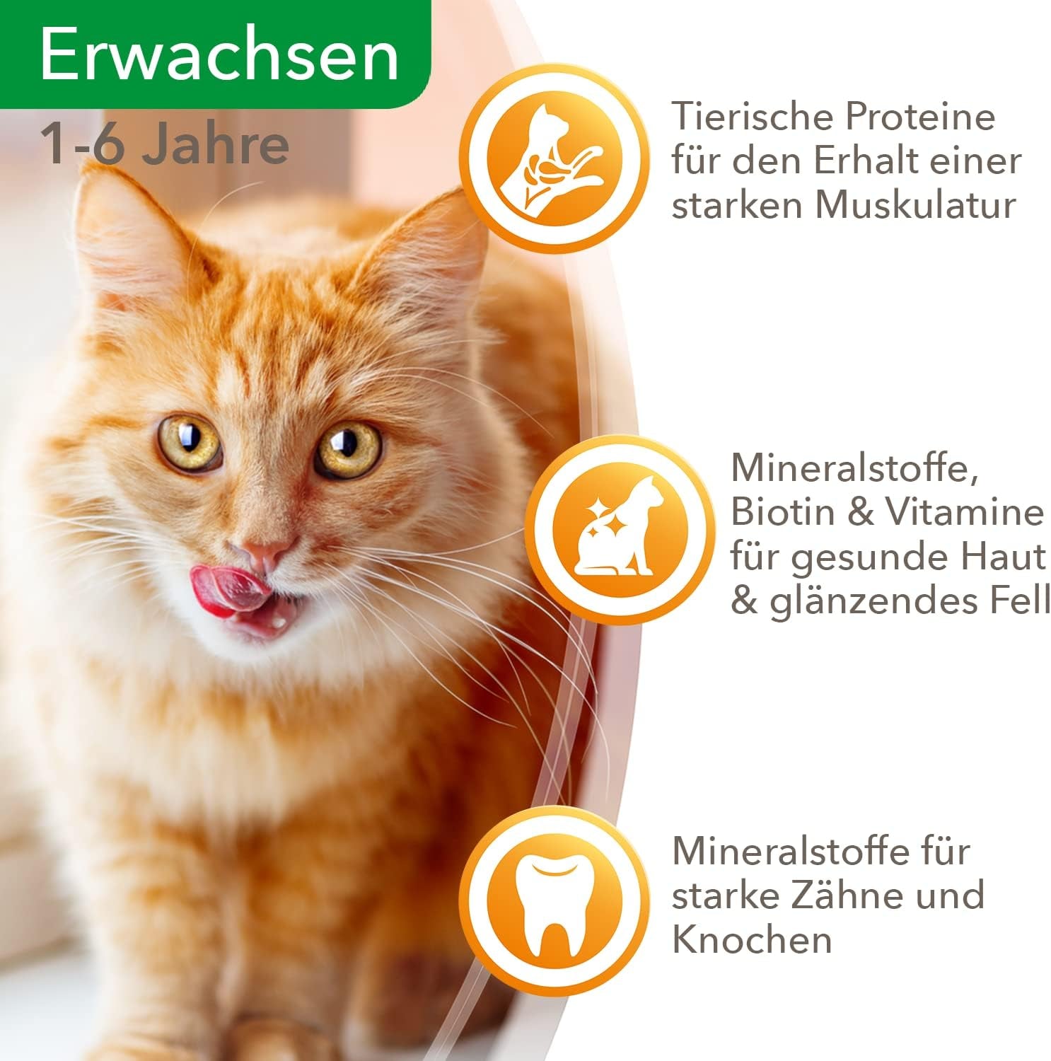 IAMS Delights våt kattmat med saftigt nötkött och gelémorötter - komplett våtfoder för vuxna katter, 24 påsar x 85 g