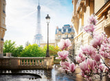 Ravensburger Puzzle 12000366 - Vår i Paris - 500-bitars pussel för vuxna och barn över 12 år Pussel Naty Shop Scenic