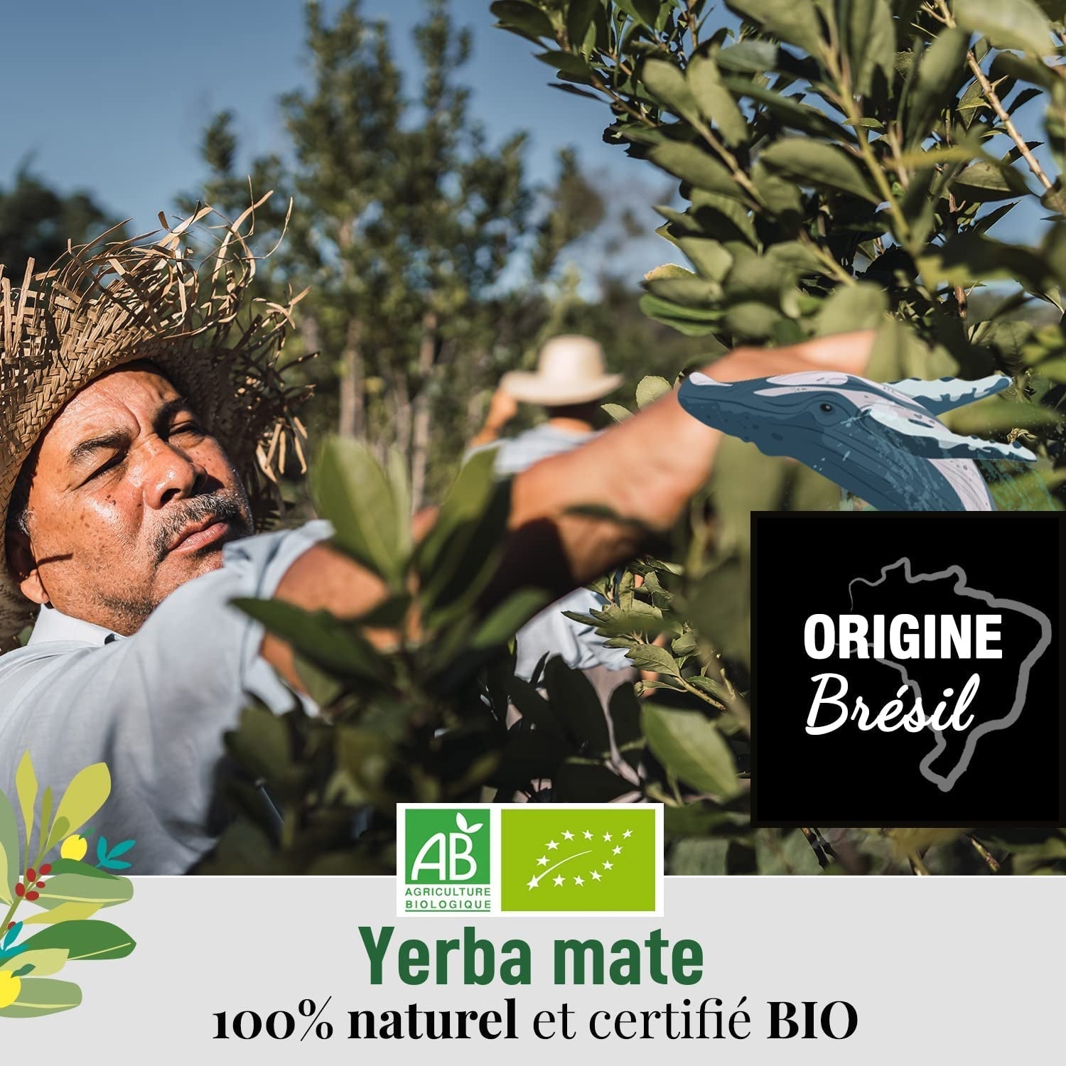 ORIGEENS BIO YERBA MATE MED MYNTA OCH CITRON 200 G - Friskhet I Orostad Bio Yerba Mate, blad, utan stjälkar och damm