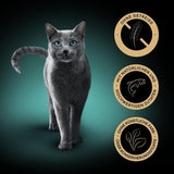 SHEBA Wet Cat Food, Nature's Collection i laxsås, 2 x 11 x 85g