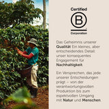 illy, kompatibel aluminium-kaffeekapseln CLASSICO, 100 % Arabica med toner av apelsinblommor och jasmin, söt smak och söt eftersmak, 10 förpackningar med 10 kapslar (100 totalt)