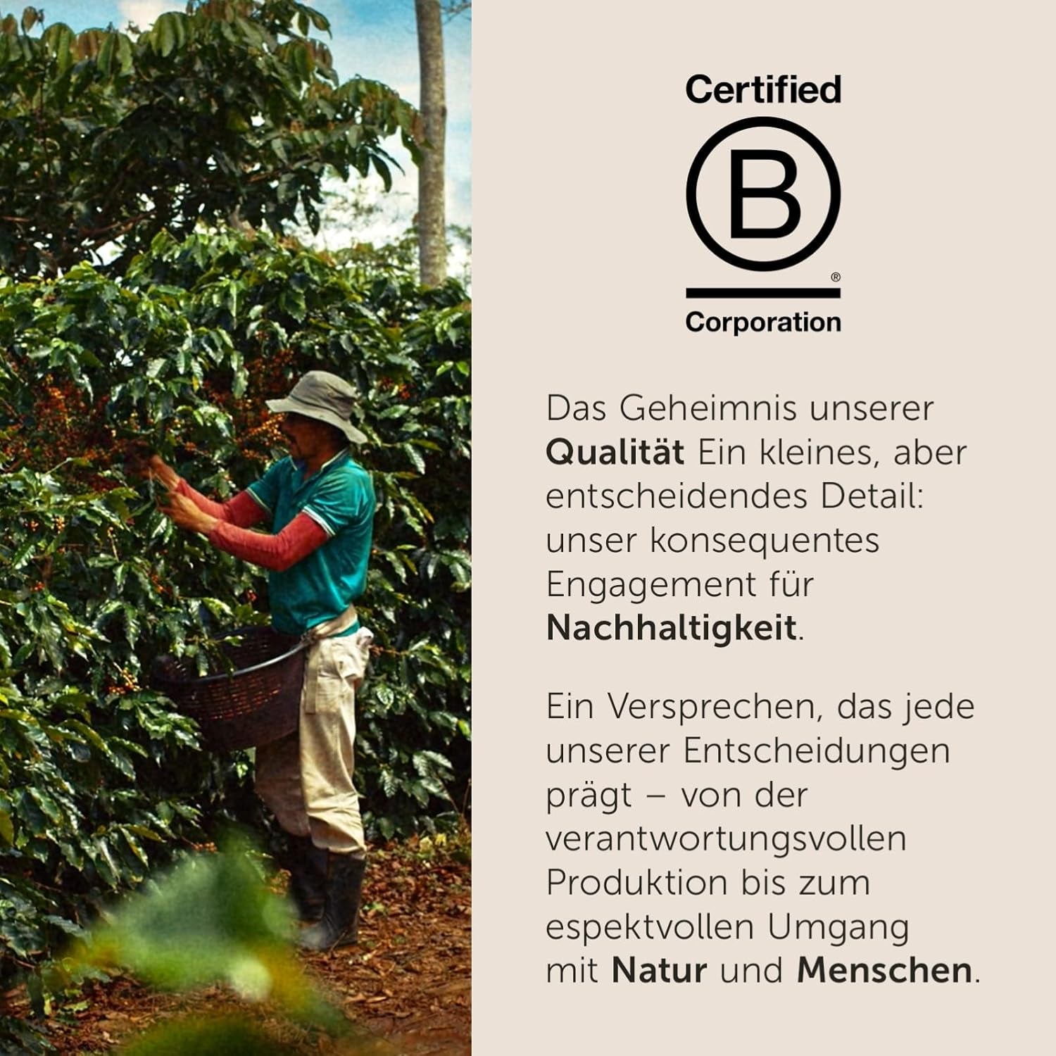illy, kompatibel aluminium-kaffeekapseln CLASSICO, 100 % Arabica med toner av apelsinblommor och jasmin, söt smak och söt eftersmak, 10 förpackningar med 10 kapslar (100 totalt)