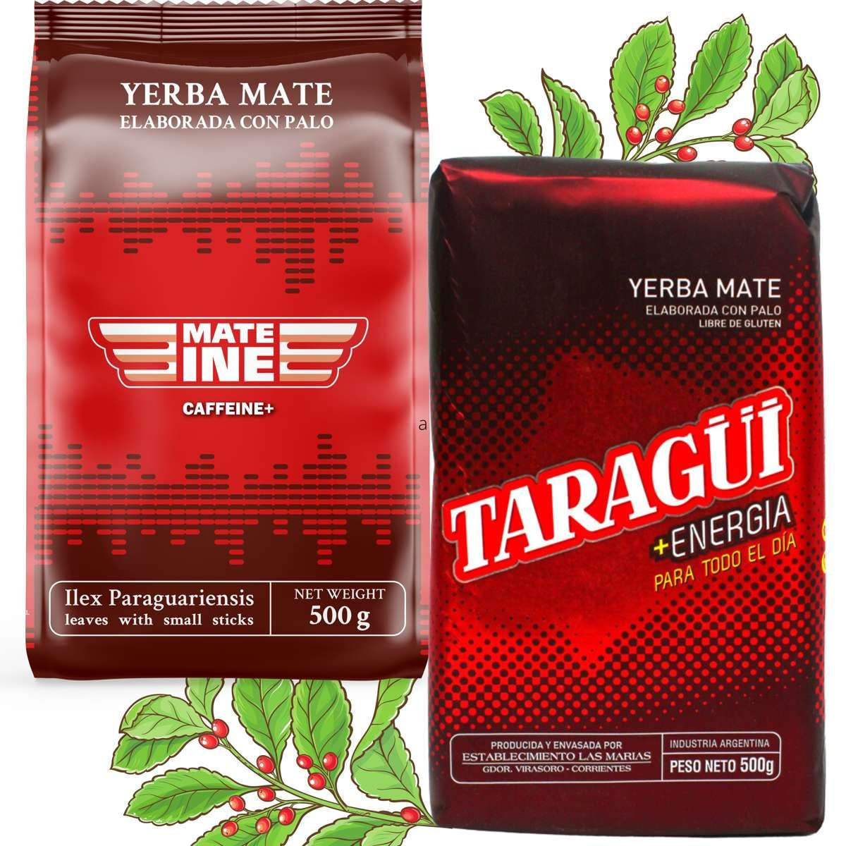 Mate Energy Koffein Te Set | Yerba Mate Taragui Energite 500 g | Koffein Mate Tea | Alternativ till koffein- och energidrycker | Yerba Mate te med hela blad 1 kg
