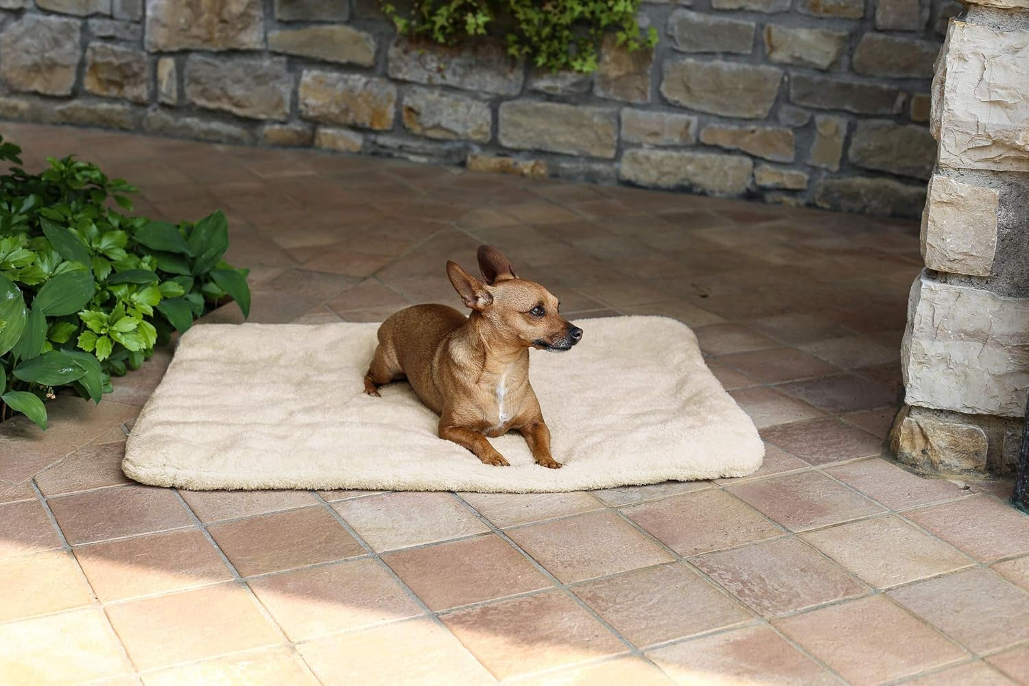 Sogni E Capricci Super Soft Mat, Kräm, 104X75CM, Polyester, Täcken och täcken Naty Shop Kräm 104X75cm
