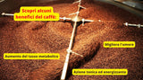 Caffè New York - XXXX - Helt bönkaffe - 1000g