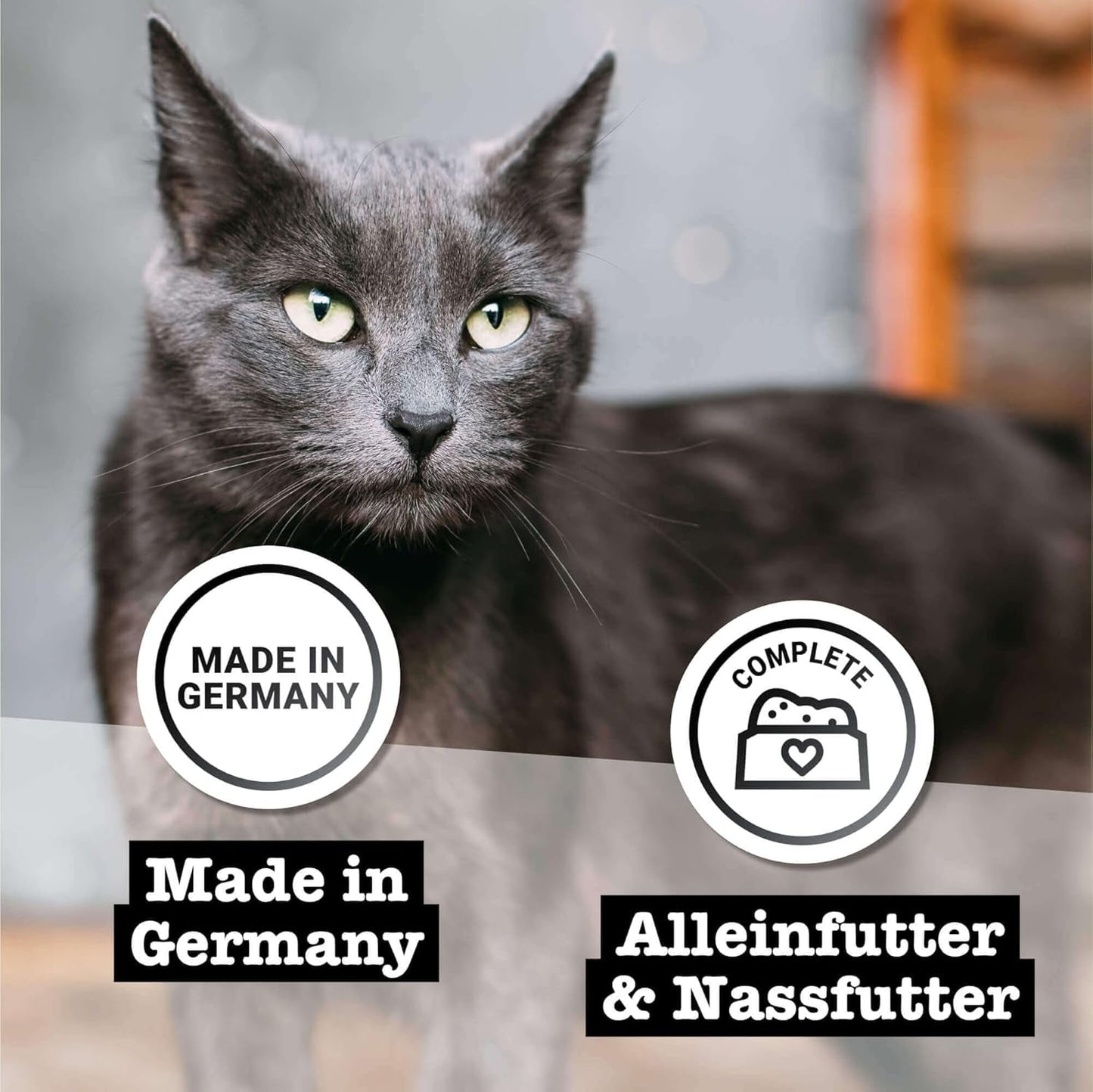 Våtfoder för katter Catz Finefood Purrrr Häst Monoprotein nr. 123, för katter med känslig matsmältning, 70% kötthalt, 6 lådor x 400 g