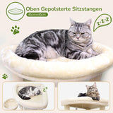 Filtar och möbler, husdjur, katter, sängar för katter, skrapstolpe, katter - sängar, madrasser