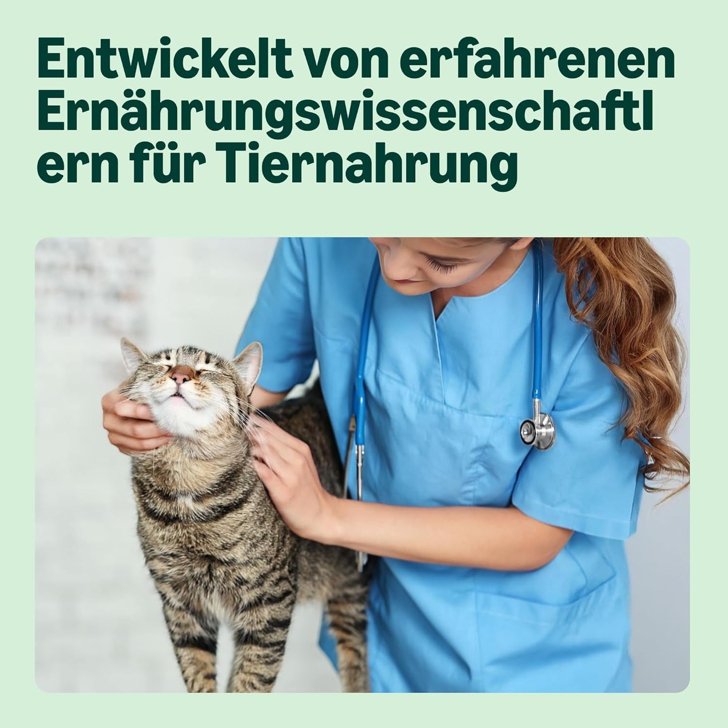 Amazon spannmålsfritt våtmat för vuxna katter Blandat urval i gelé 4,8 kg (48 förpackningar med 100 g vardera)