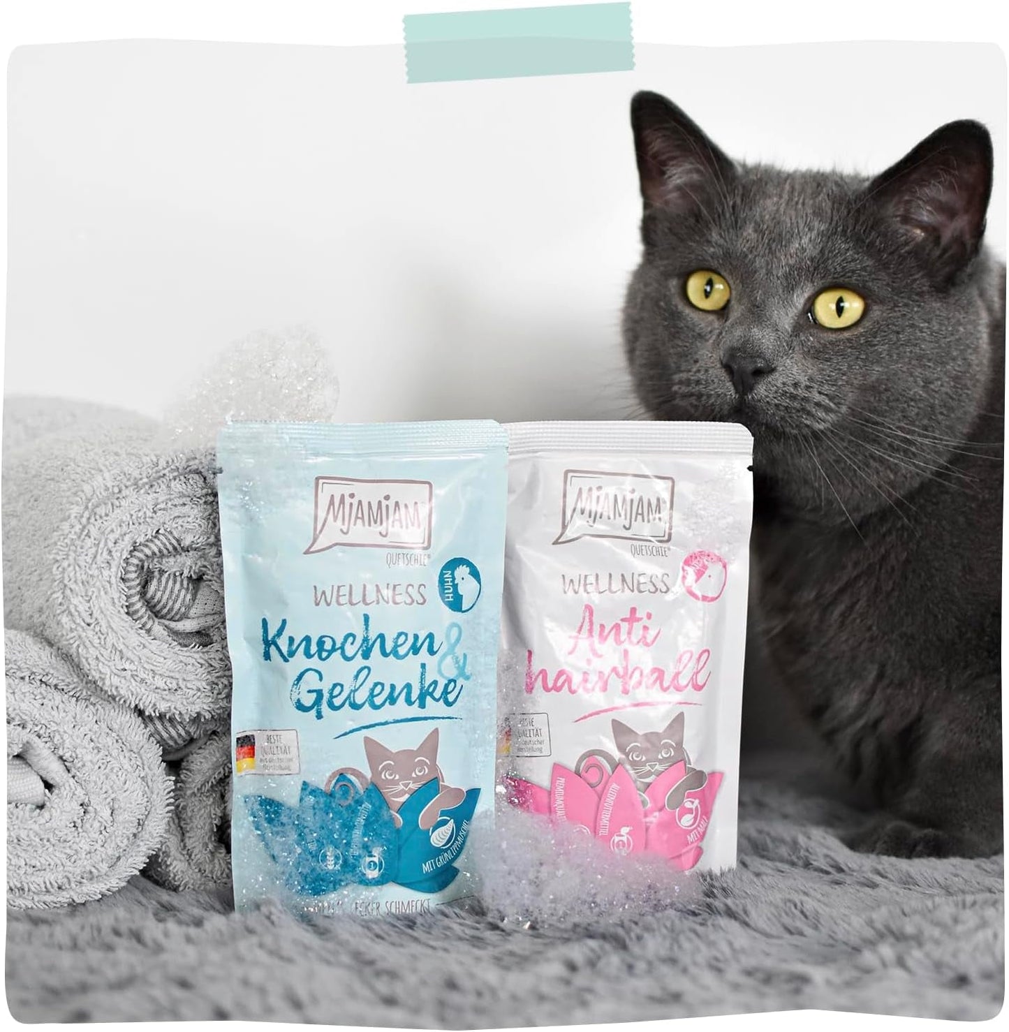 MjAMjAM - Premium våt kattfoder - Wellness - Digestive - Nötkött, förpackning med 12 (12 x 125 g), spannmålsfri