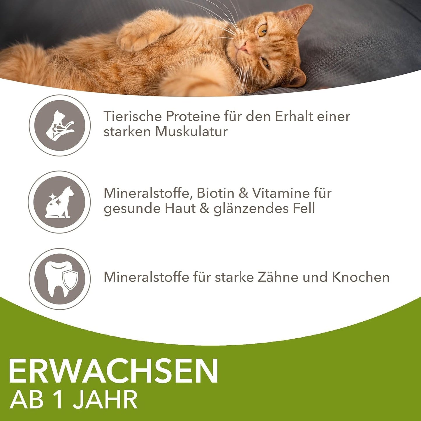 IAMS Delights Land Collection Våtfoder för katter - Multipack med köttsorter (lamm, nötkött, kyckling och kalkon) i sås, våtfoder för katter från 1 år, 12 x 85g