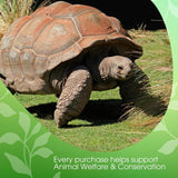 David Rio - Tortoise Green Chai, kartong (1 x 398g)