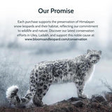 Blooms & Leopard Premium gröna tepåsar - Berry Borealis Blend med Hibiscus, Blueberry, Strawberry and Spearmint - 20 Pyramid tepåsar för varmt eller kallt te