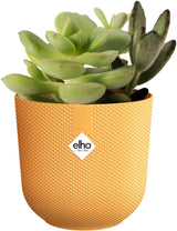 elho Jazz Round Mini 7cm - Blomkrukor för inomhusbruk - 100% återvunnen plast - Ø 7 x H 6,5 cm - Gul/Amber