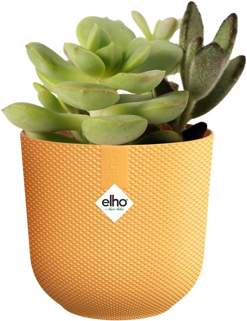 elho Jazz Round Mini 7cm - Blomkrukor för inomhusbruk - 100% återvunnen plast - Ø 7 x H 6,5 cm - Gul/Amber