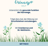 Almo Nature Functional Urinary Help - Nassfutter für ausgewachsene Katzen mit Fisch - Unterstützung für die Gesundheit der Harnwege - 30 påsar à 70g