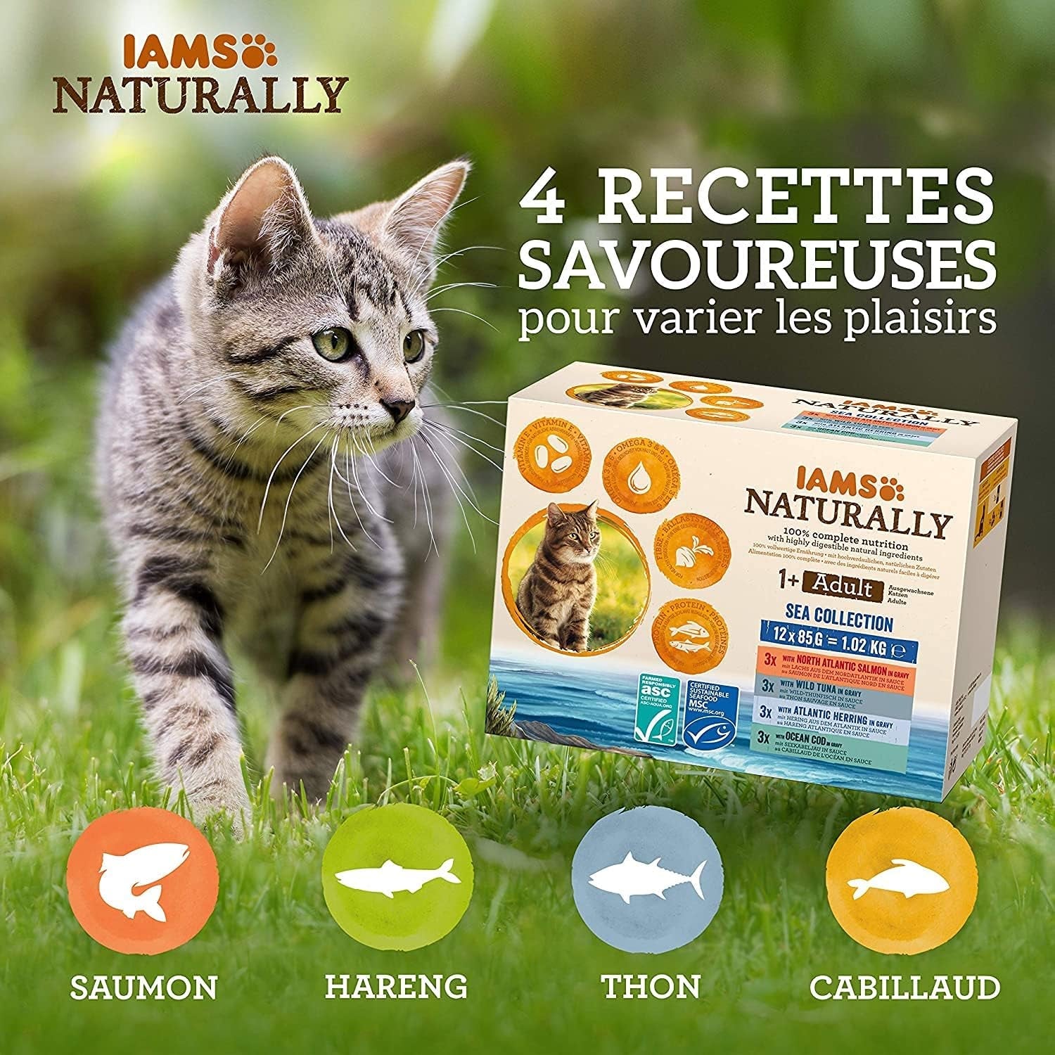 IAMS naturligt vått kattmat i sås - högkvalitativt våtfoder med fisk för vuxna katter, Sea Collection, 12 x 85g